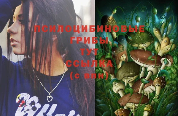 PSILOCYBIN Абаза