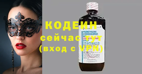 амф Няндома