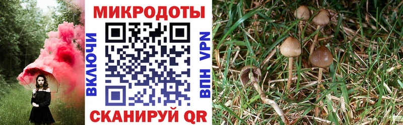 Галлюциногенные грибы MAGIC MUSHROOMS  Ленинградская 
